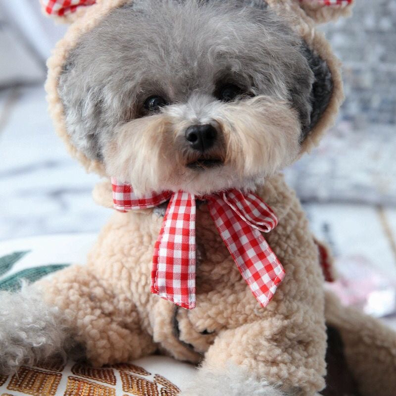 Pet Bixiong Pomeranian Small Dog Poodle Teddy Dog Clothes Autumn/Winter Clothes Winter Clothes Four Legged Clothes