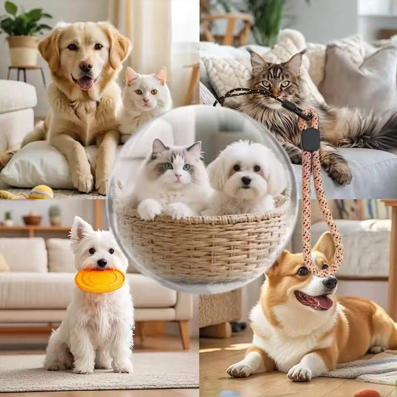 Wedding/Anniversary Video Crystal Ball – 2.7" Spherical Pixel Display, 4GB Player, Memory Art Lamp