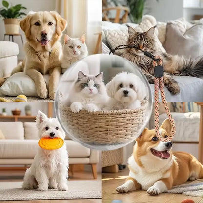 Wedding/Anniversary Video Crystal Ball – 2.7" Spherical Pixel Display, 4GB Player, Memory Art Lamp